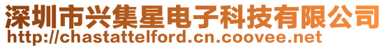 深圳市興集星電子科技有限公司