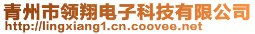 青州市領(lǐng)翔電子科技有限公司