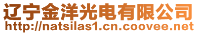 遼寧金洋光電有限公司