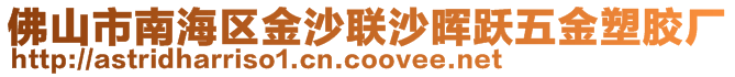 佛山市南海區(qū)金沙聯(lián)沙暉躍五金塑膠廠