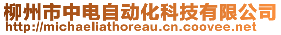 柳州市中電自動化科技有限公司