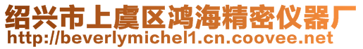 紹興市上虞區鴻海精密儀器廠