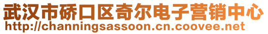 武漢市硚口區(qū)奇爾電子營銷中心