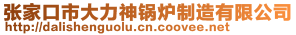 張家口市大力神鍋爐制造有限公司