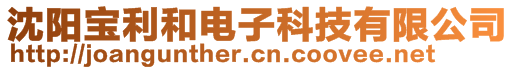 沈陽寶利和電子科技有限公司