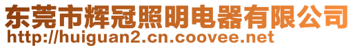 東莞市輝冠照明電器有限公司