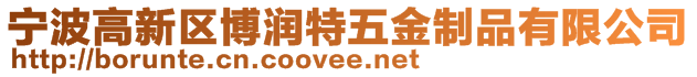 宁波高新区博润特五金制品有限公司