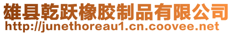 雄县乾跃橡胶制品有限公司