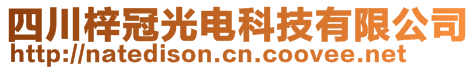 四川梓冠光電科技有限公司