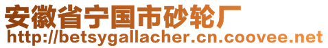 安徽省寧國市砂輪廠