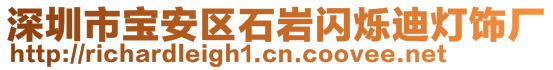 深圳市寶安區(qū)石巖閃爍迪燈飾廠