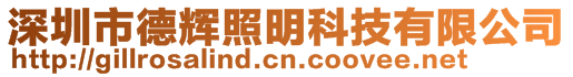 深圳市德輝照明科技有限公司