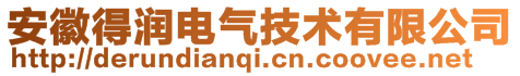 安徽得润电气技术有限公司