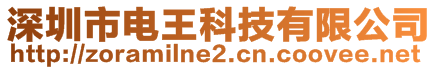 深圳市电王科技有限公司