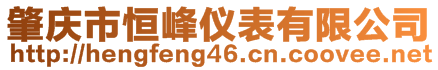 肇慶市恒峰儀表有限公司