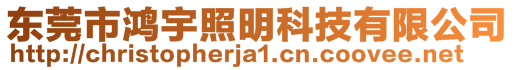 东莞市鸿宇照明科技有限公司