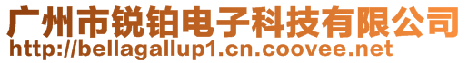 廣州市銳鉑電子科技有限公司