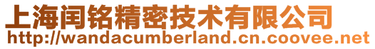 上海閏銘精密技術(shù)有限公司