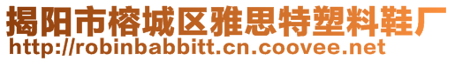 揭陽市榕城區(qū)雅思特塑料鞋廠