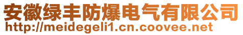 安徽綠豐防爆電氣有限公司