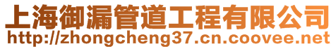 上海御漏管道工程有限公司