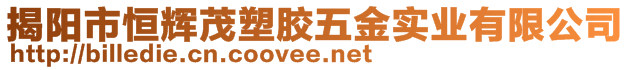 揭陽市恒輝茂塑膠五金實業(yè)有限公司