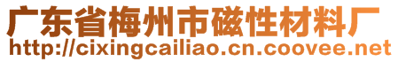 廣東省梅州市磁性材料廠