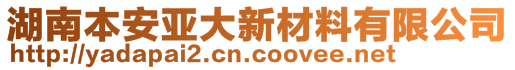 湖南本安亞大新材料有限公司