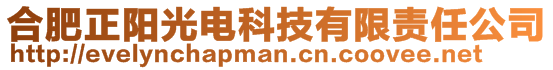 合肥正陽光電科技有限責(zé)任公司
