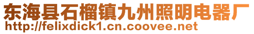 東?？h石榴鎮(zhèn)九州照明電器廠