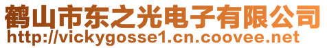 鶴山市東之光電子有限公司