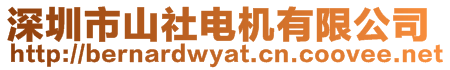深圳市山社電機(jī)有限公司