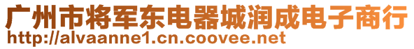 廣州市將軍東電器城潤成電子商行