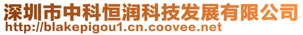 深圳市中科恒润科技发展有限公司