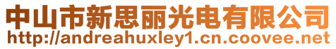 中山市新思丽光电有限公司