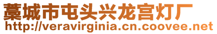藁城市屯頭興龍宮燈廠