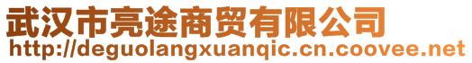 武漢市亮途商貿(mào)有限公司