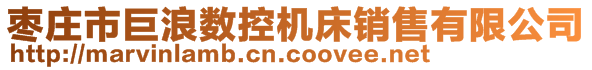 棗莊市巨浪數(shù)控機(jī)床銷(xiāo)售有限公司