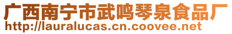 廣西南寧市武鳴琴泉食品廠