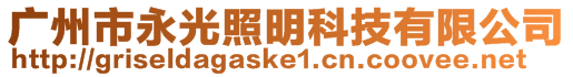 廣州市永光照明科技有限公司