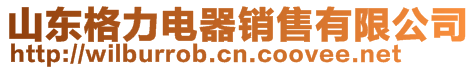 山東格力電器銷售有限公司