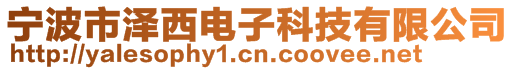 宁波市泽西电子科技有限公司