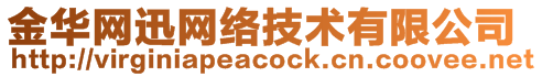 金華網迅網絡技術有限公司