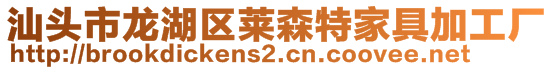 汕头市龙湖区莱森特家具加工厂