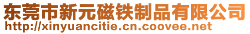 东莞市新元磁铁制品有限公司