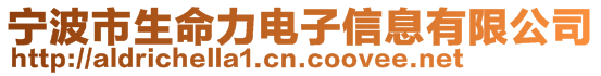 寧波市生命力電子信息有限公司