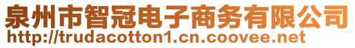 泉州市智冠电子商务有限公司