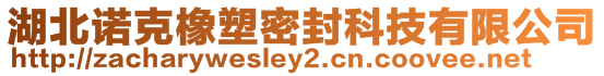 湖北諾克橡塑密封科技有限公司