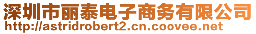 深圳市麗泰電子商務(wù)有限公司