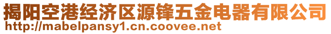 揭陽(yáng)空港經(jīng)濟(jì)區(qū)源鋒五金電器有限公司